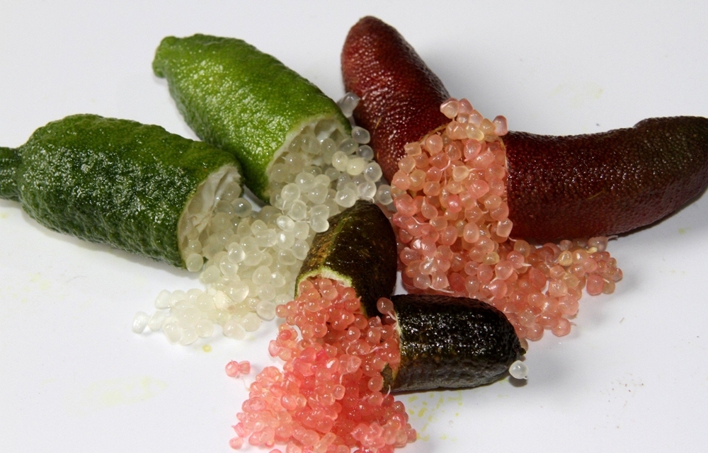 Finger lime