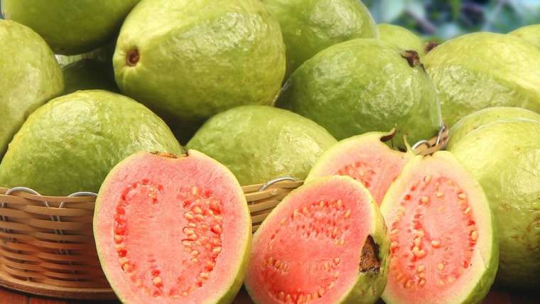 guava, guayava, prugna di sabbia