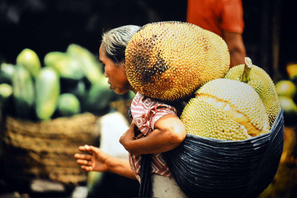 jackfruit india